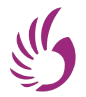 6Wings Logo
