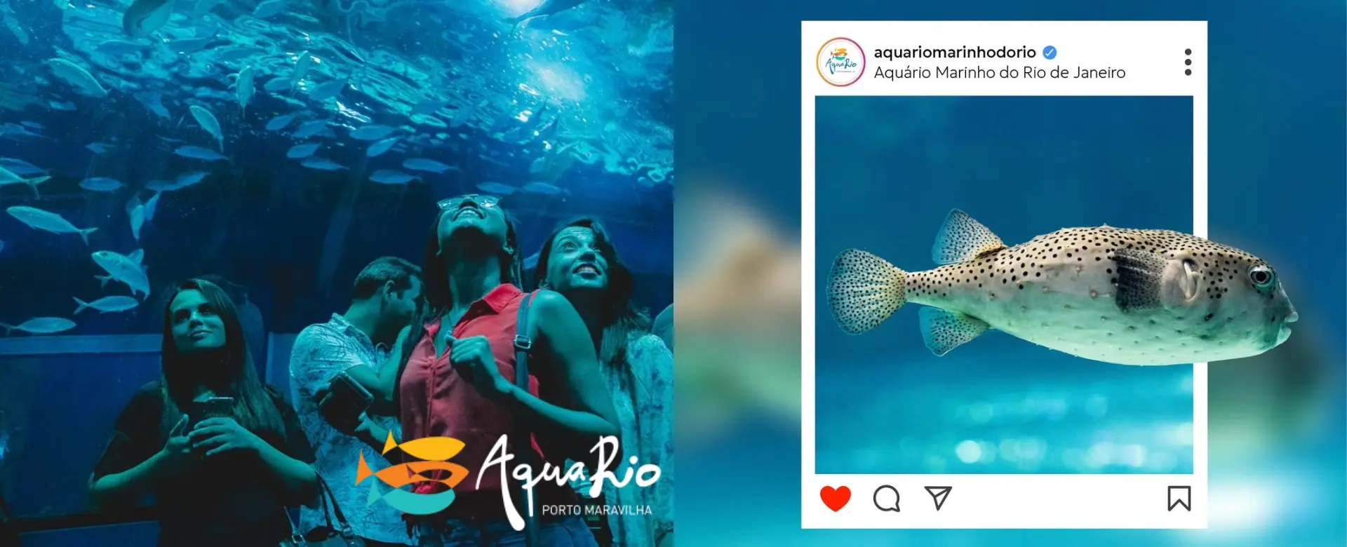 AquaRio