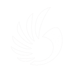 6Wings Logo